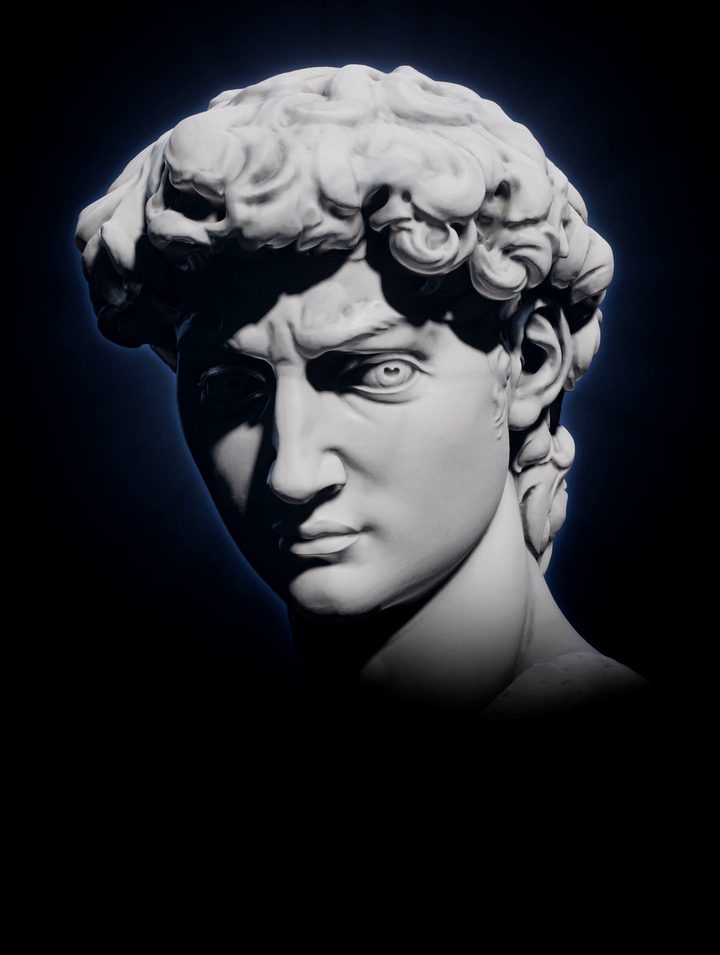 The marble head of David, after Michelangelo, looking straight into the lens
